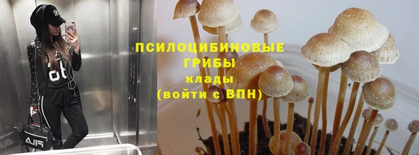 ешки Горно-Алтайск