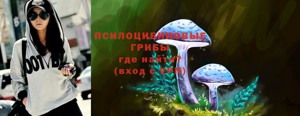 дурь Горняк