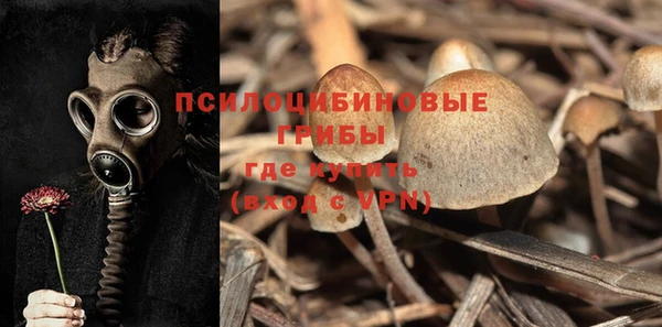 мдма Горнозаводск