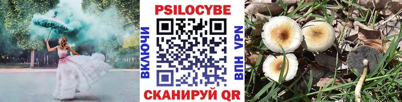 Галлюциногенные грибы ЛСД Подпорожье