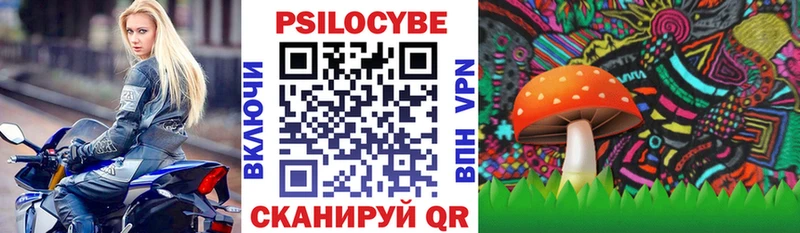 Купить где  Подпорожье  Галлюциногенные грибы Psilocybine cubensis 